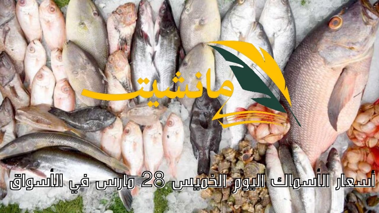 البلطي بكام؟ تعرف على أسعار الأسماك اليوم الخميس 28 مارس بالأسواق