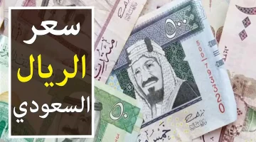 الدولار والريال السعودي.. تعرف علي أسعار صرف الدولار اليوم الإثنتين 25 مارس في مختلف البنوك