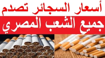 شوفوا وصلت لكام .. أسعار السجائر في مصر اليوم بعد ارتفاع سعرها ووصولها إلى أرقام قياسية