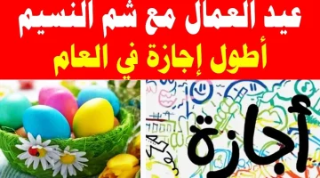 “استعد لأجازة تلوين البيض”.. موعد اجازة عيد العمال وشم النسيم 2024 في مصر