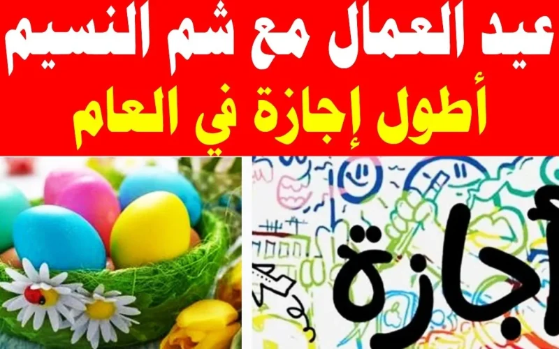 “استعد لأجازة تلوين البيض”.. موعد اجازة عيد العمال وشم النسيم 2024 في مصر