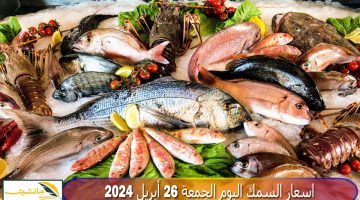 “بعد حملة خليها تعفن” تراجع أسعار السمك والجمبري اليوم الجمعة 26 أبريل 2024