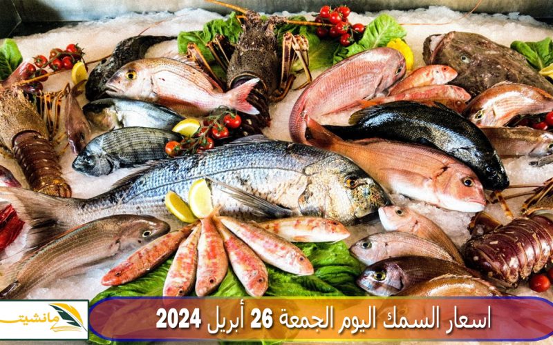 “بعد حملة خليها تعفن” تراجع أسعار السمك والجمبري اليوم الجمعة 26 أبريل 2024