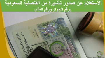 الاستعلام عن التأشيرة السعودية برقم الجواز “الرابط الرسمي للاستعلام” وانواع وشروط التأشيرة السعودية