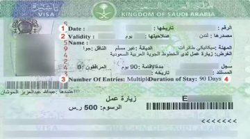 قبل موسم الحج.. تعرف على آلية الاستعلام عن تأشيرة السعودية برقم الجواز شروط الحصول عليها 1445