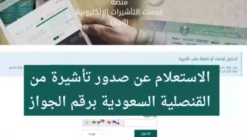 “منصة التأشيرات الإلكترونية”.. توضح رابط الاستعلام عن تأشيرة السعودية برقم الجواز 1445