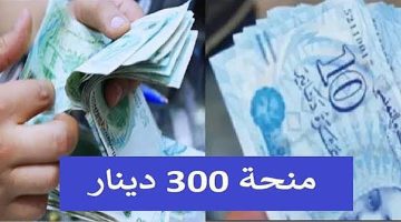 نزول دفعة مايو.. الاستعلام عن منحة تونس 300 دينار للمقبولين تحت هذه الشروط 2024
