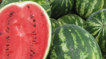 تحذير شديد اللهجة…. الزراعة تحذر من تناول نوع من البطيخ منتشر في الأسواق