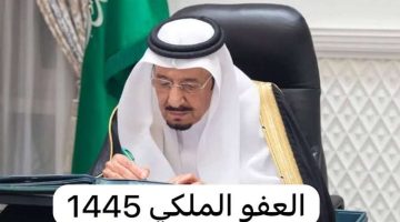 شروط العفو الملكي في السعودية 1445 فرصة جديدة للحياة