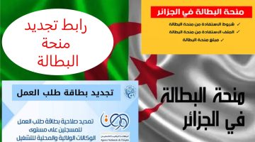 وكالة التشغيل الوطنية تعلن طريقة تجديد منحة البطالة بالجزائر 2024