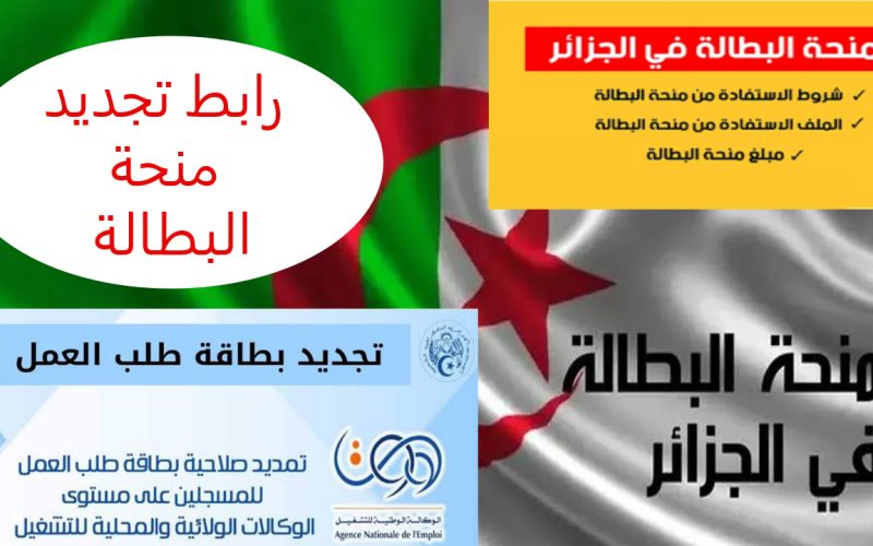 وكالة التشغيل الوطنية تعلن طريقة تجديد منحة البطالة بالجزائر 2024