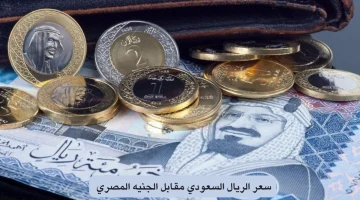 تابع لحظة بلحظة.. سعر الريال السعودي مقابل الجنيه المصري والدولار الأمريكي اليوم