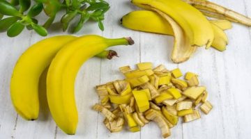 الطريقة الصحيحة لحفظ الموز من السواد في الثلاجة لمدة طويلة بخطوات سهلة