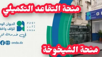“teledeclaration.cnas.dz“ التسجيل في منحة التقاعد التكميلي 2024 بالجزائر والشروط اللازمة