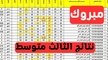وزارة التربية والتعليم epedu.gov.iq.. الاستعلام عن نتائج الثالث متوسط في محافظات العراق