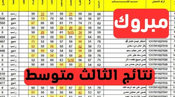 مُتاح رابط نتائج الثالث متوسط في العراق epedu.gov.i 2024 عبر موقع نتائجنا ووزارة التعليم العراقية